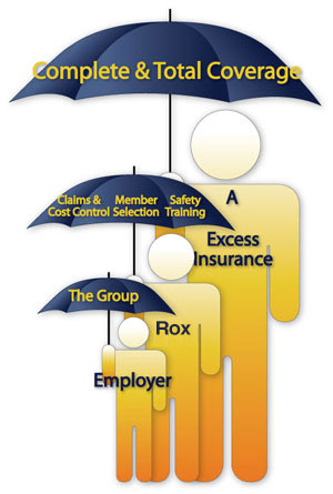 The Complete and Total Self-Insurance Coverage Understanding Risk Illustration provided by CHSI